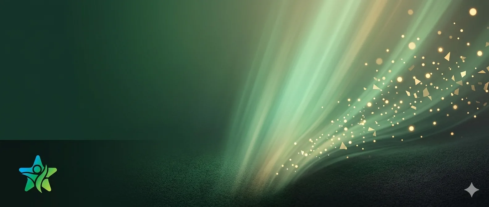 Toda arrecadação para a ONG Potencializa